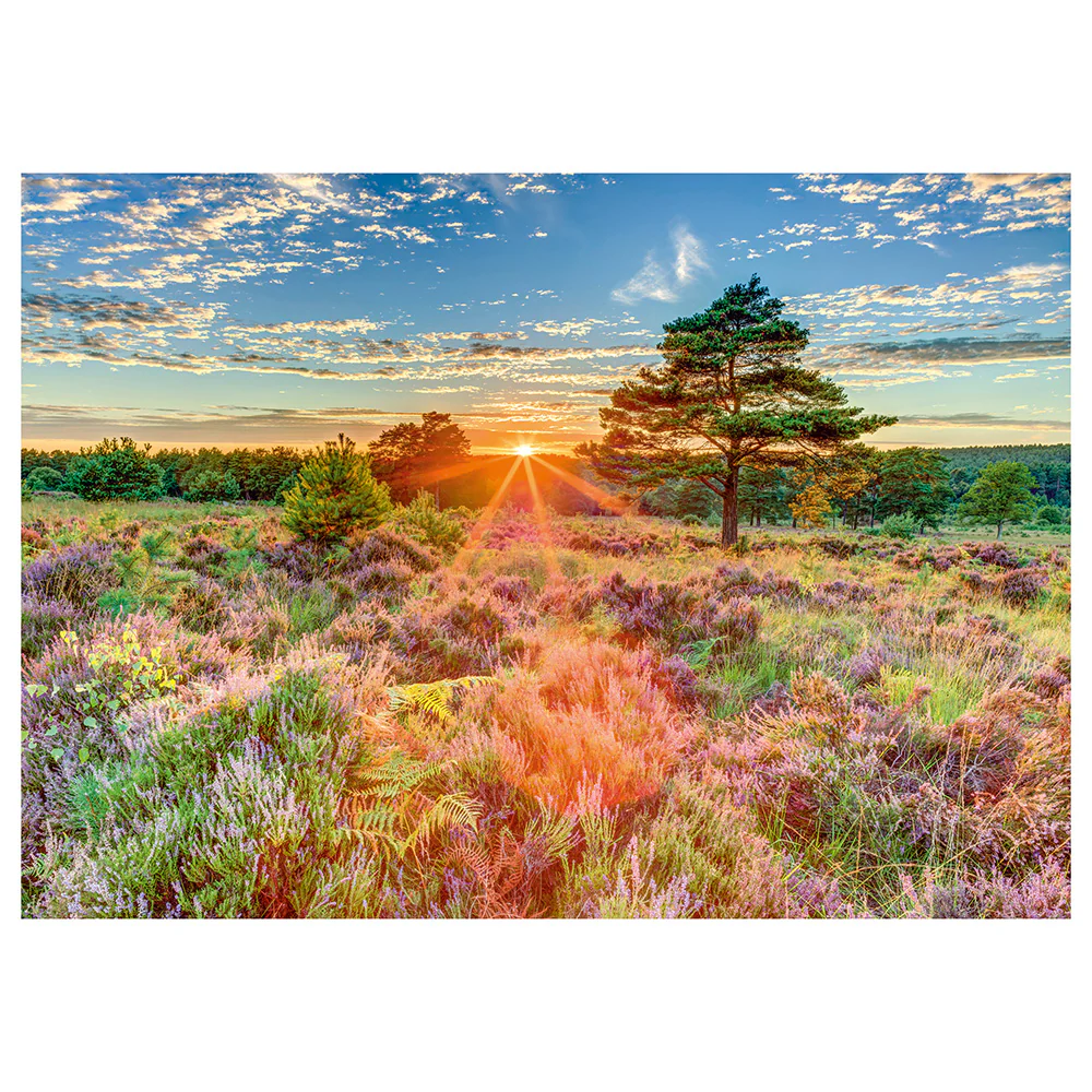 Puzzle Schmidt: Apus de soare, 1000 piese - imagine 2